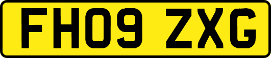 FH09ZXG