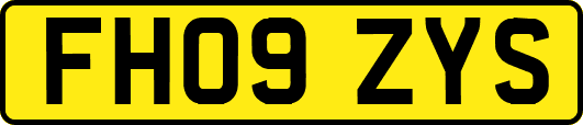 FH09ZYS