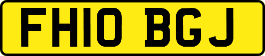 FH10BGJ