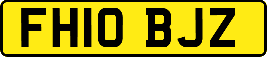 FH10BJZ