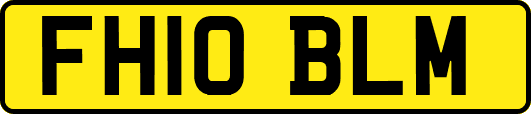 FH10BLM