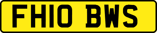 FH10BWS