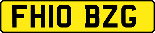FH10BZG