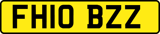 FH10BZZ
