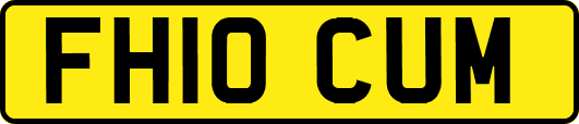 FH10CUM