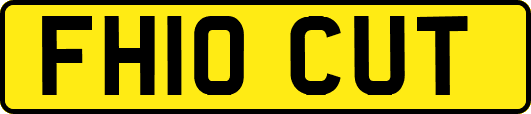FH10CUT