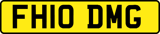 FH10DMG