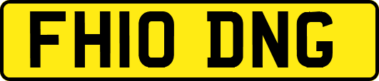 FH10DNG