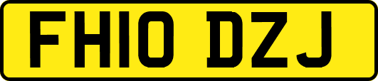 FH10DZJ