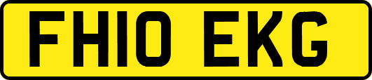 FH10EKG