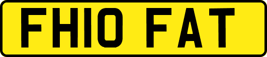 FH10FAT