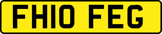 FH10FEG