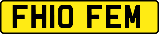 FH10FEM