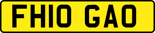 FH10GAO