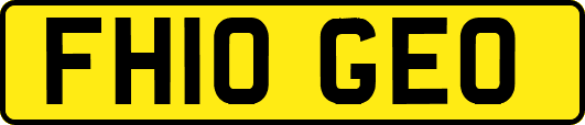 FH10GEO
