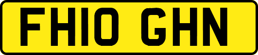 FH10GHN