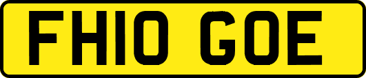 FH10GOE