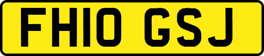 FH10GSJ
