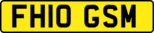 FH10GSM