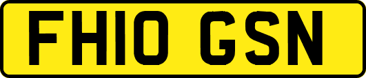 FH10GSN
