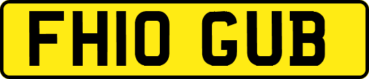 FH10GUB