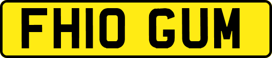 FH10GUM