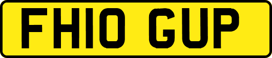 FH10GUP