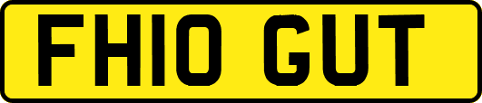 FH10GUT