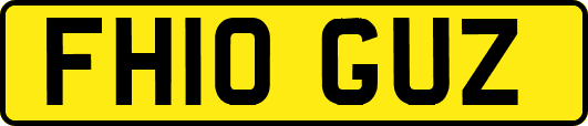 FH10GUZ