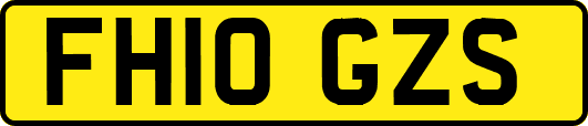 FH10GZS