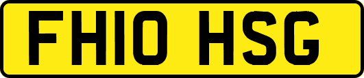 FH10HSG