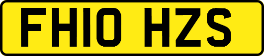FH10HZS