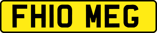 FH10MEG