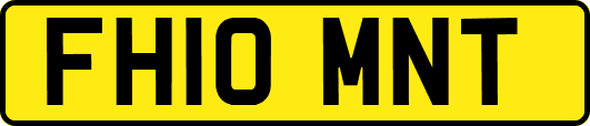 FH10MNT