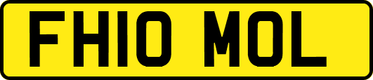FH10MOL