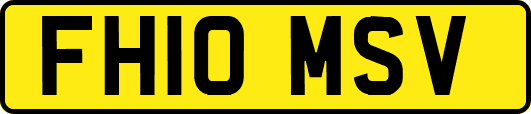 FH10MSV