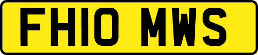 FH10MWS