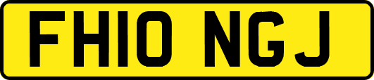 FH10NGJ