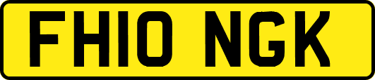 FH10NGK