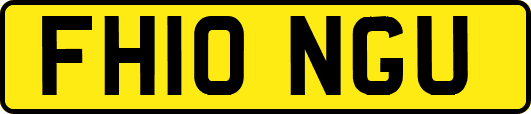 FH10NGU