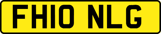 FH10NLG