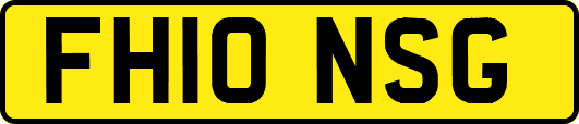 FH10NSG