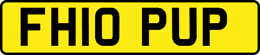 FH10PUP