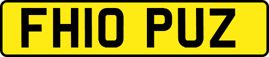 FH10PUZ