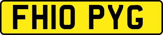 FH10PYG