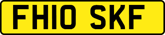 FH10SKF