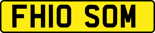 FH10SOM