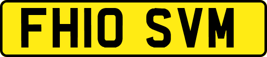 FH10SVM