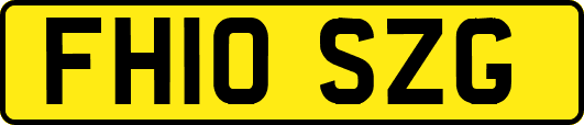FH10SZG