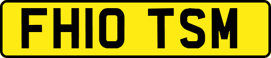 FH10TSM